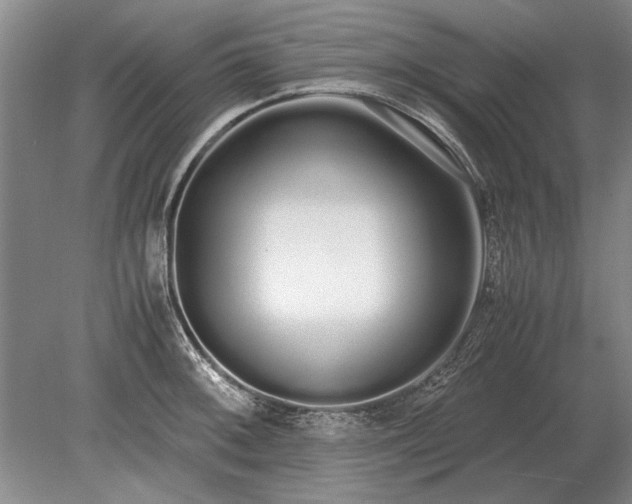 X0000079301092200612011743