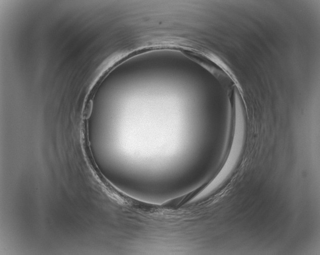 X0000079301093200612011743