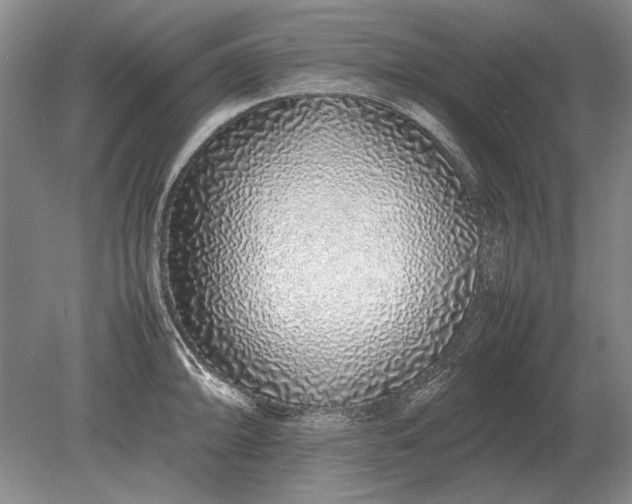 X0000079301094200612011743