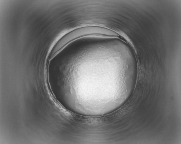 X0000079301096200612011743