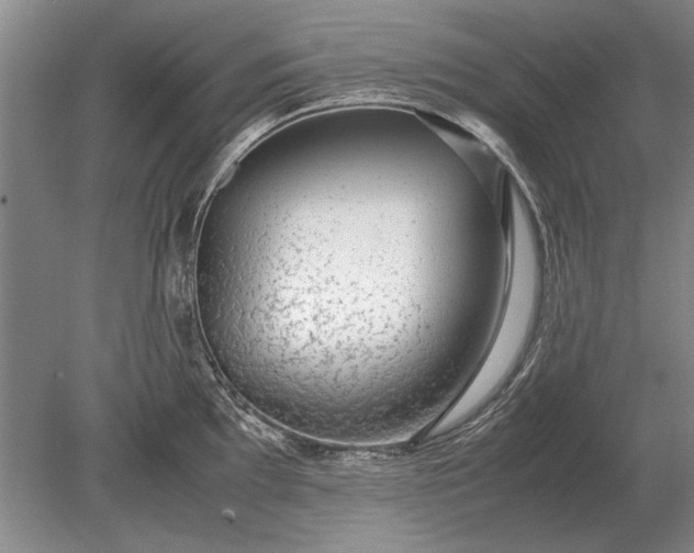 X0000079301097200612011743