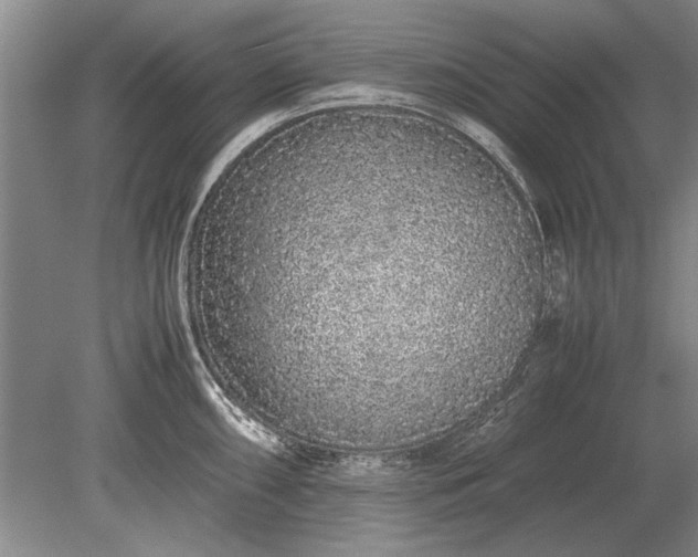 X0000079301098200612011743