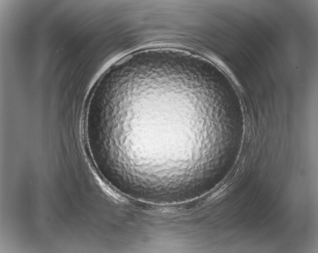 X0000079301101200612011743