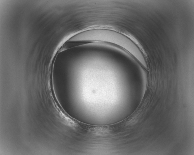 X0000079301102200612011743