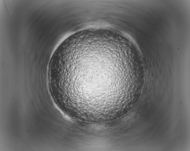 X0000079301103200612011743