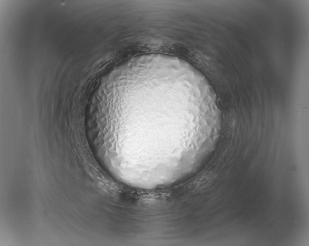 X0000079301105200612011742