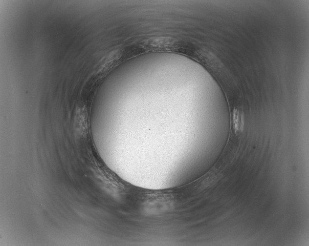 X0000079301107200612011742