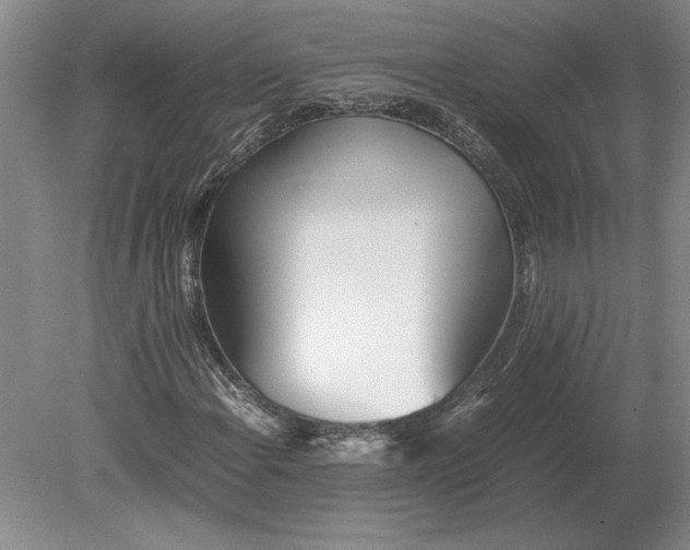X0000079301108200612011742