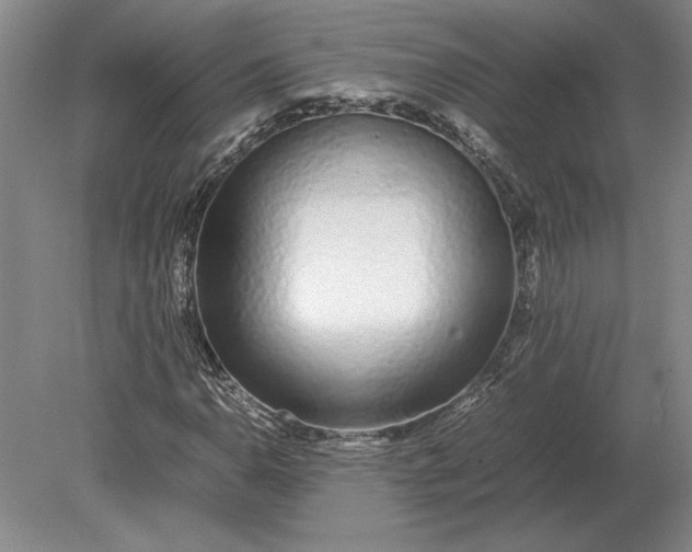 X0000079301110200612011742