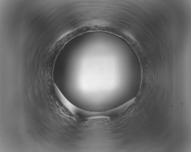 X0000079301112200612011742
