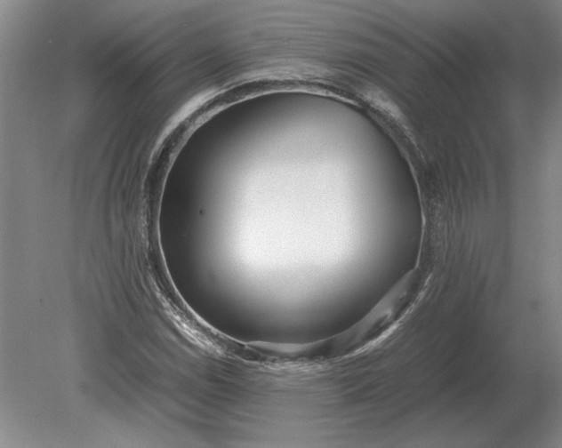 X0000079301114200612011742