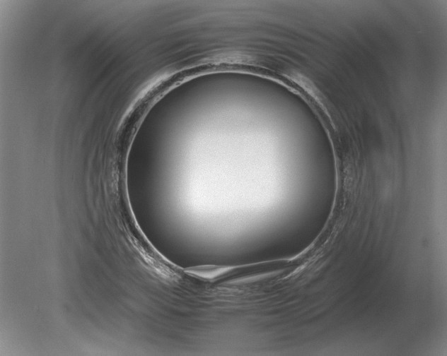 X0000079301115200612011742