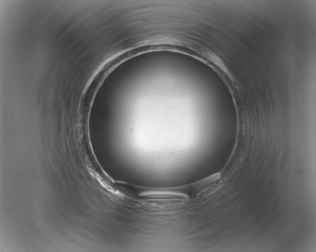 X0000079301116200612011742