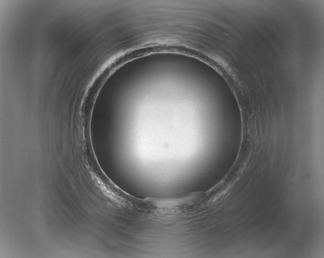 X0000079301118200612011743