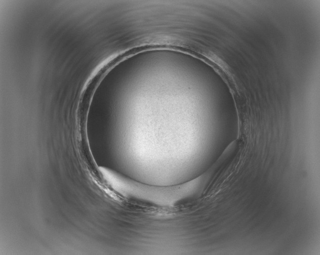 X0000079301120200612011743