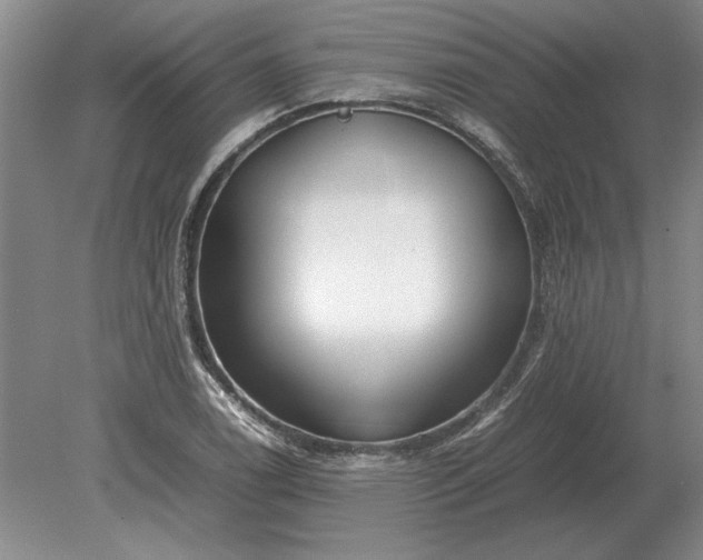 X0000079301122200612011743
