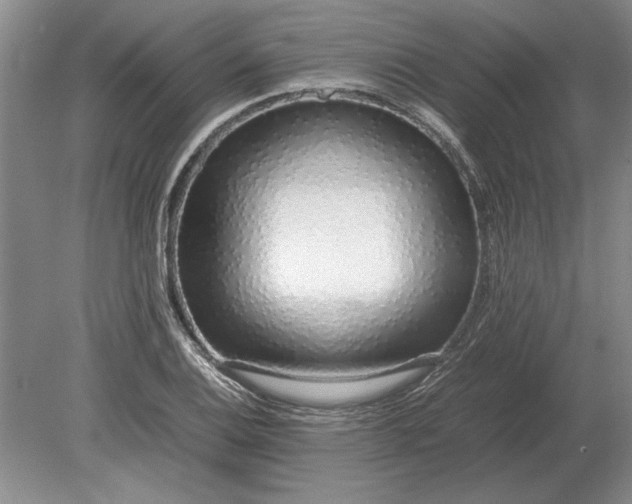 X0000079301124200612011743