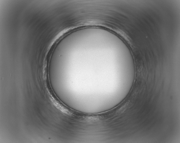 X0000079301126200612011743