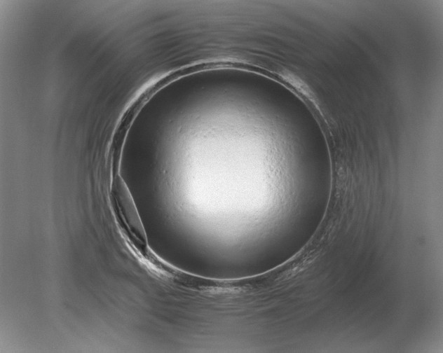 X0000079301127200612011743