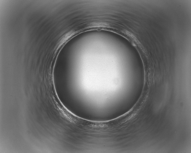 X0000079301129200612011743