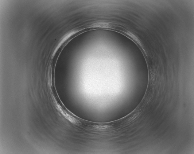 X0000079301131200612011743