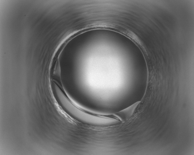X0000079301132200612011743