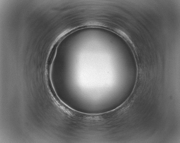 X0000079301133200612011743