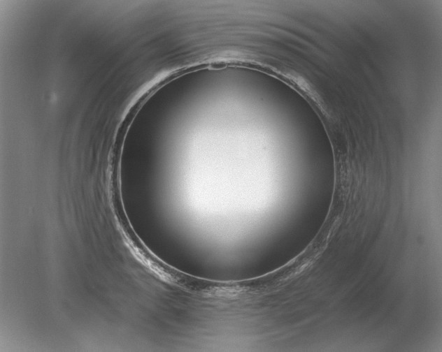 X0000079301134200612011743