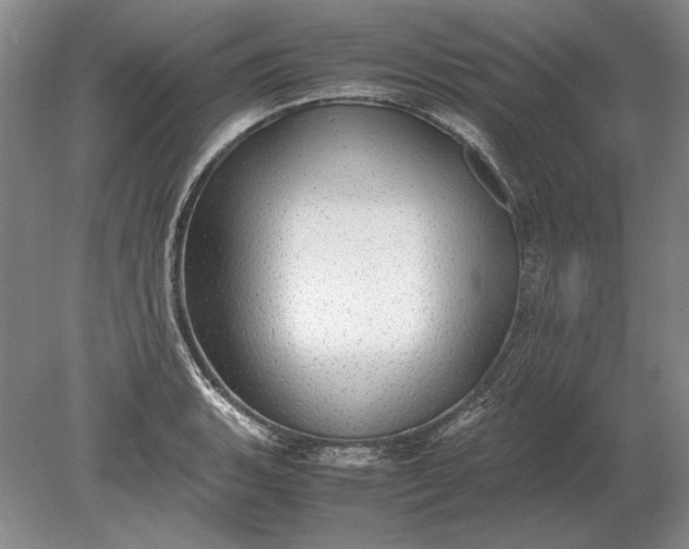 X0000079301135200612011743