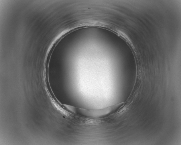 X0000079301136200612011743