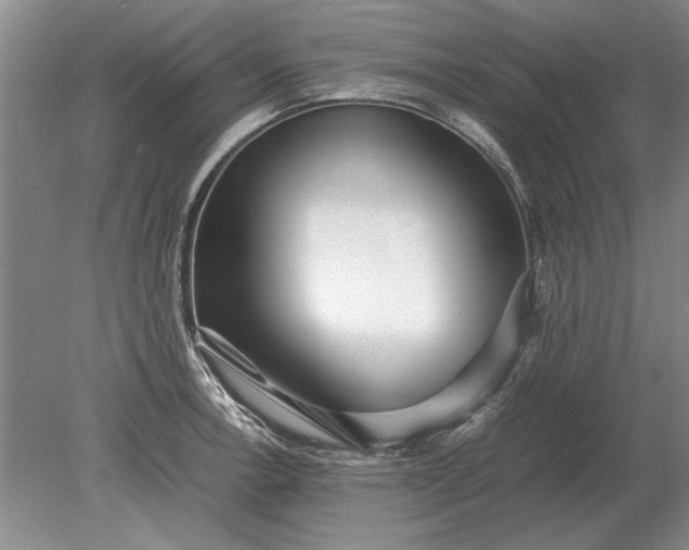 X0000079301138200612011743