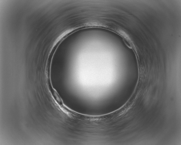 X0000079301141200612011743