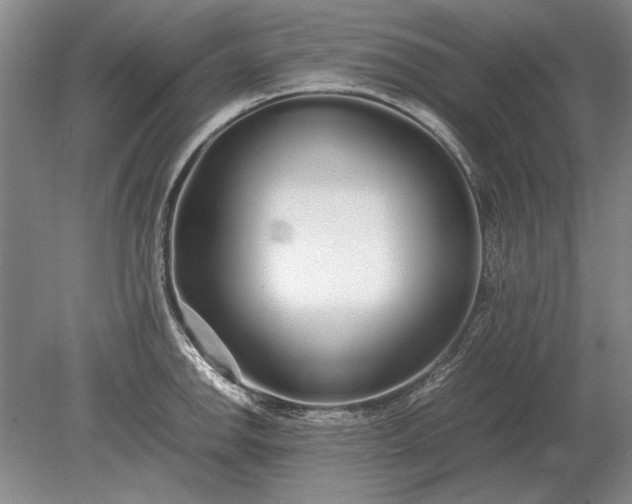 X0000079301142200612011743