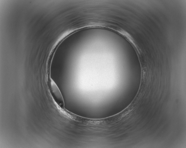 X0000079301143200612011743
