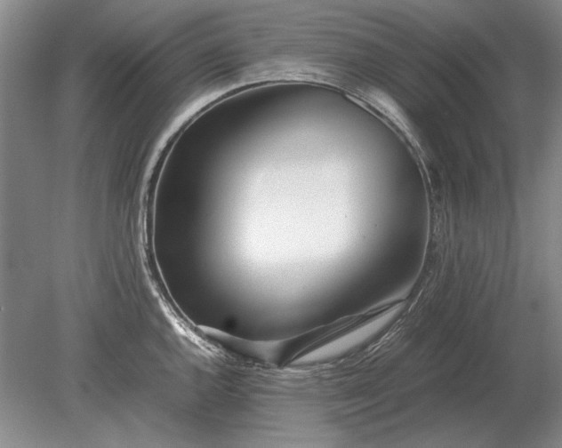 X0000079301144200612011743