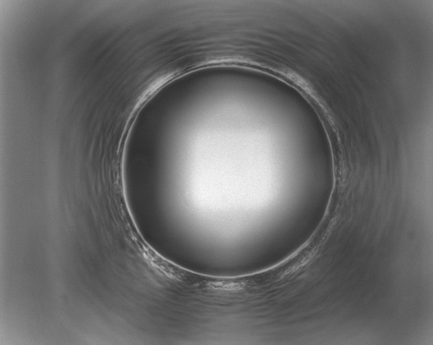 X0000079301145200612011743