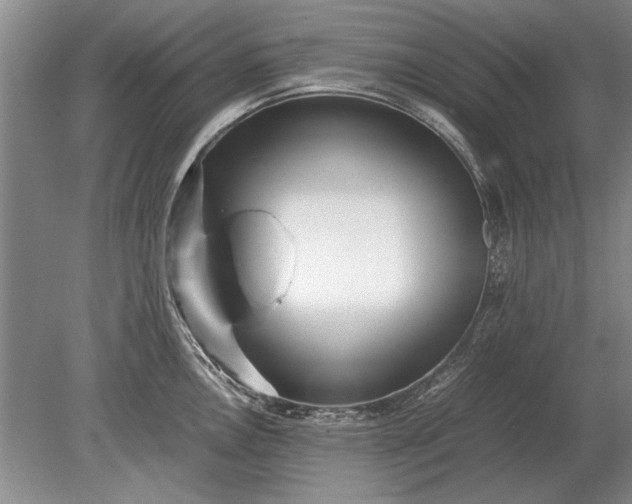 X0000079301146200612011743