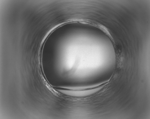 X0000079301148200612011743