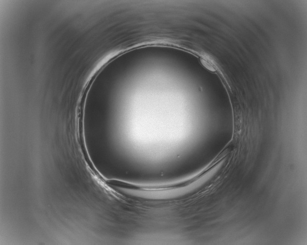 X0000079301151200612011743