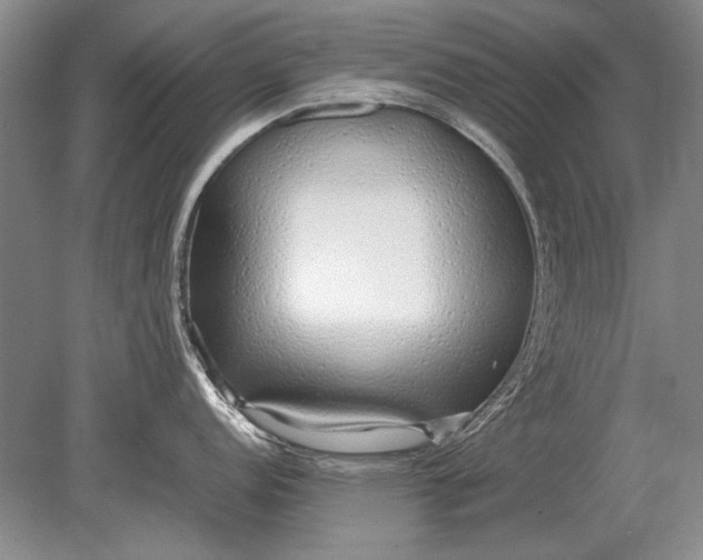 X0000079301152200612011743