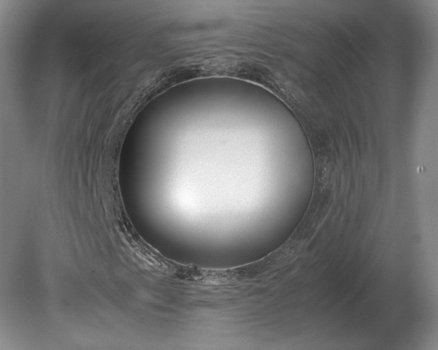 X0000079301153200612011742