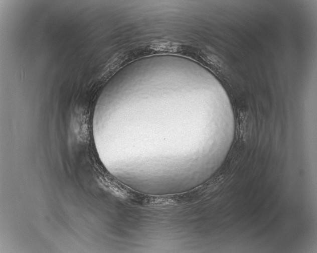 X0000079301154200612011742