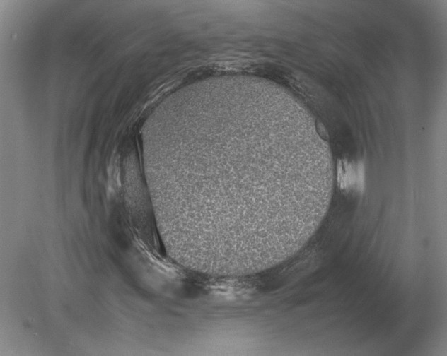 X0000079301155200612011742