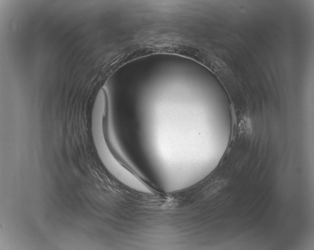 X0000079301156200612011742