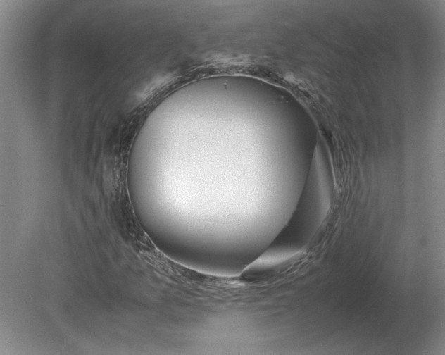 X0000079301157200612011742