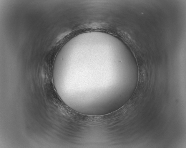 X0000079301158200612011742
