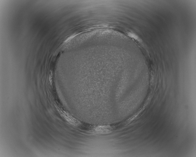 X0000079301161200612011742