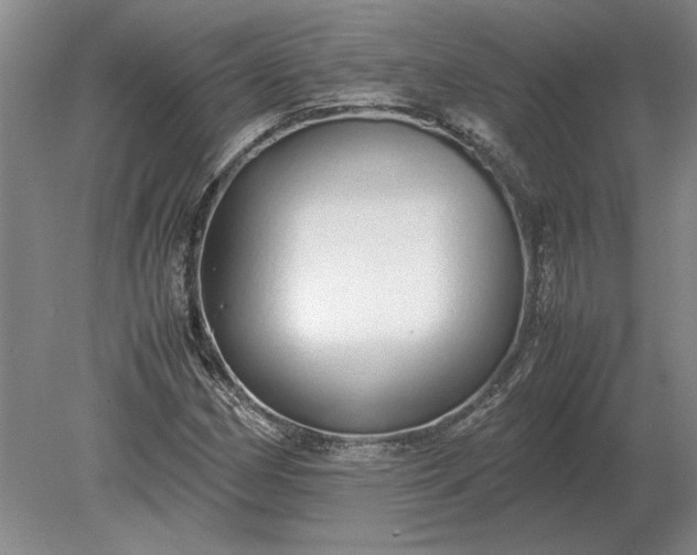 X0000079301162200612011742