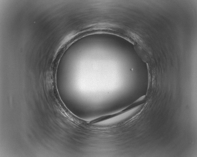 X0000079301164200612011742