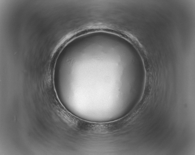 X0000079301167200612011742